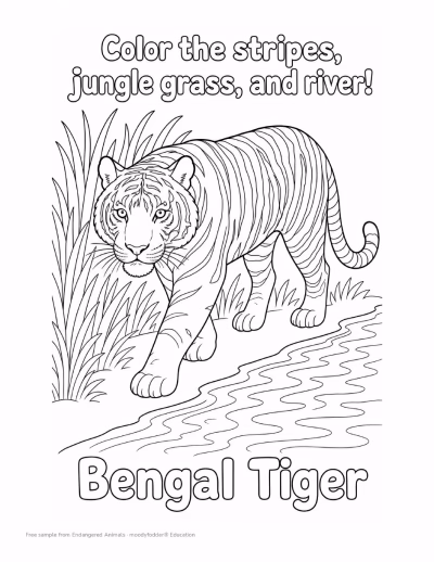 Bengal tiger coloring page, free sample